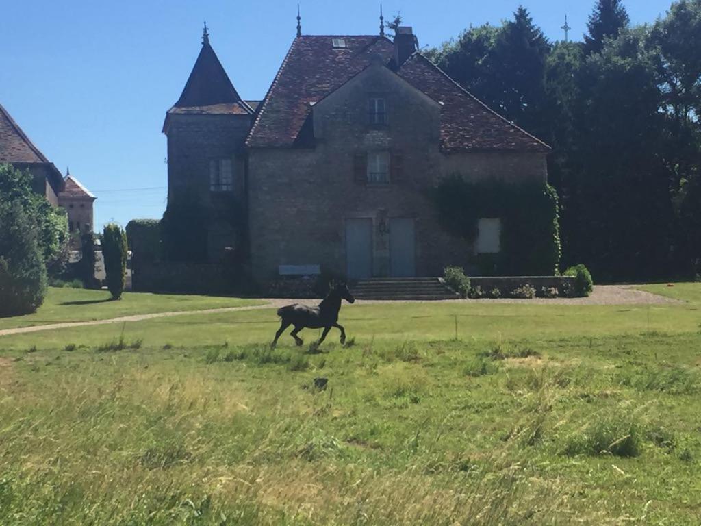 Au Chateau Leilighet Miserey-Salines Eksteriør bilde